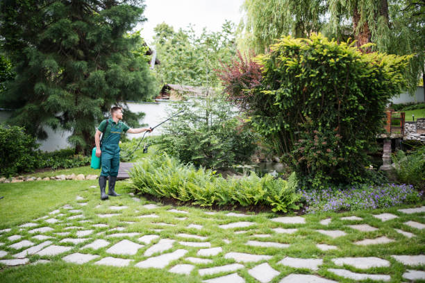 Best Best Pest Control Companies  in Sunnyside, WA