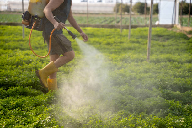 Best Wasp Removal Services  in Sunnyside, WA