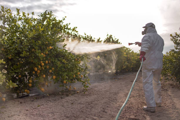 Best Affordable Pest Control Services  in Sunnyside, WA
