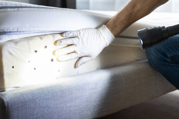 Best Rat Extermination Near Me  in Sunnyside, WA