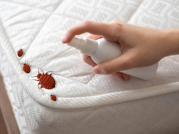 Best Pest Control Near Me  in Sunnyside, WA