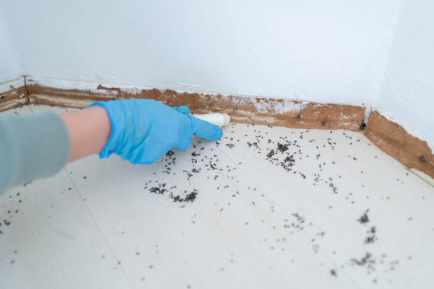 Best Exterminator Services  in Sunnyside, WA