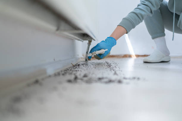 Best Wasp Removal Services  in Sunnyside, WA